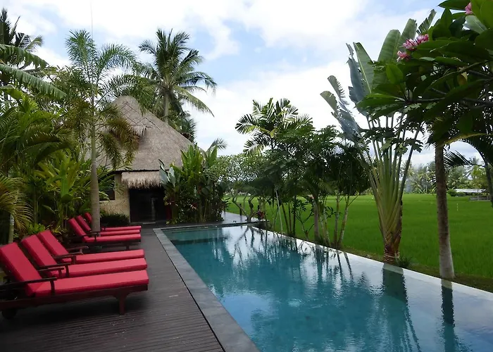 Bali Harmony