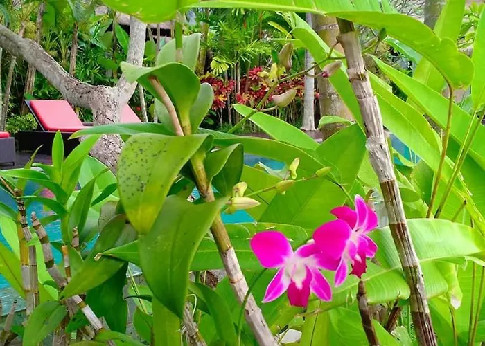 Bali Harmony *